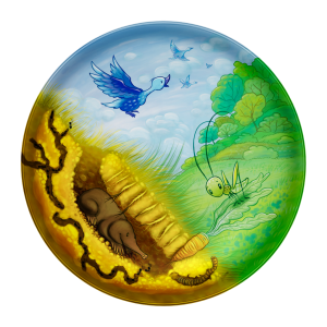 Playte Tiny - Picnic in the garden game plate