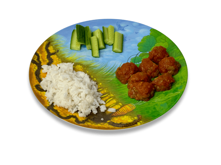 Playte Tiny - Picnic in the garden game plate with food