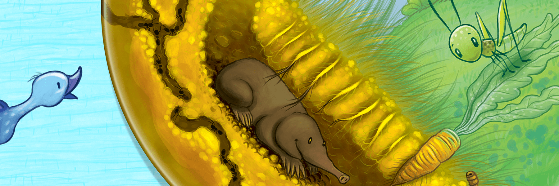 Playte - Picnic in the garden - banner