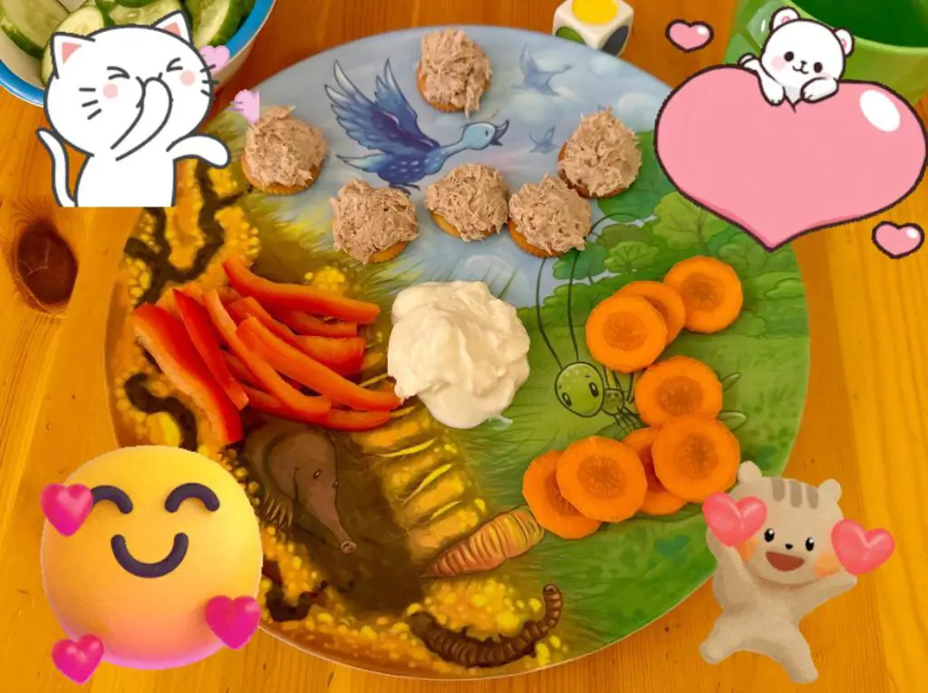 Crackers with tuna salad on a Playte